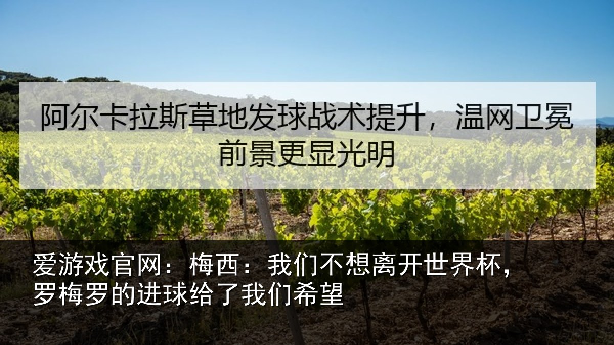 爱游戏官网：梅西：我们不想离开世界杯，罗梅罗的进球给了我们希望