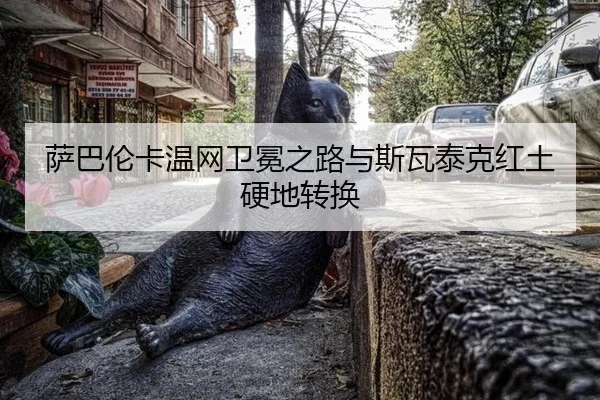sa-ba-lun-ka-wen-wang-wei-mian-zhi-lu-yu-si-wa-tai-ke-hong-tu-ying-di-zhuan-huan-3-249.jpg